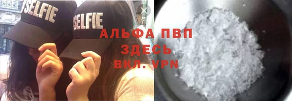 PSILOCYBIN Абаза
