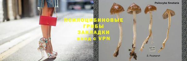 PSILOCYBIN Абаза