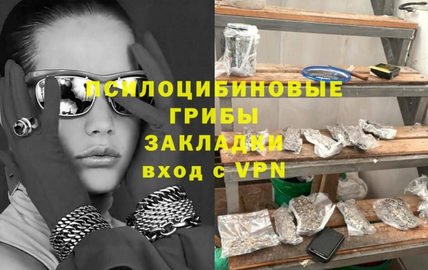 стаф Абинск