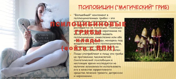 PSILOCYBIN Абаза