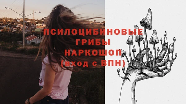 PSILOCYBIN Абаза