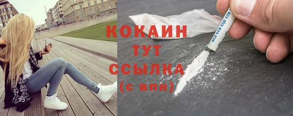 стаф Абинск