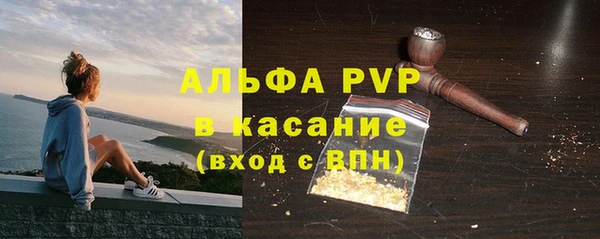 стаф Абинск