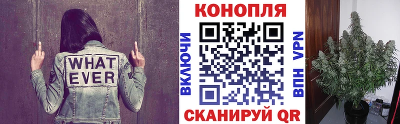 Канабис VHQ Батайск